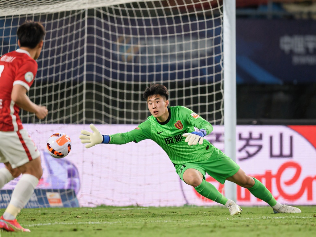 无论是大型 无论是大型